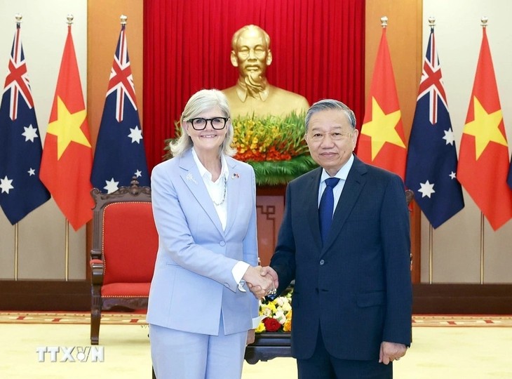Vietnam treasures its Comprehensive Strategic Partnership with Australia  - ảnh 1