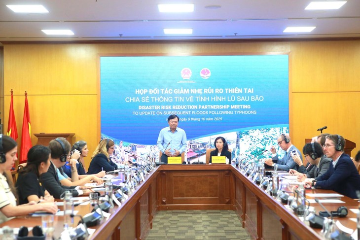 Vietnam calls for international aid for flood recovery efforts - ảnh 1