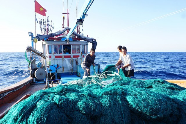 Action plan promulgated to crack down on IUU fishing  - ảnh 1
