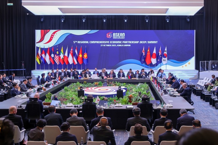 PM underscores RCEP’s role in Asia-Pacific economic development  - ảnh 1