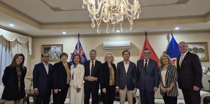 Vietnamese ambassador meets Australian MPs in Canberra  - ảnh 1