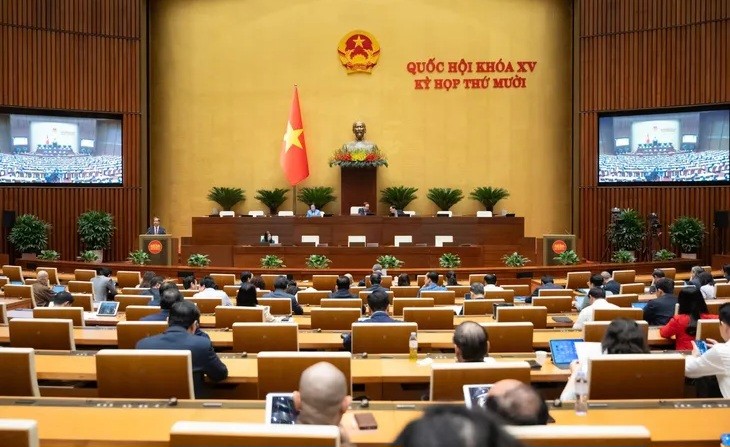 Lawmakers examine special mechanisms for international integration - ảnh 1