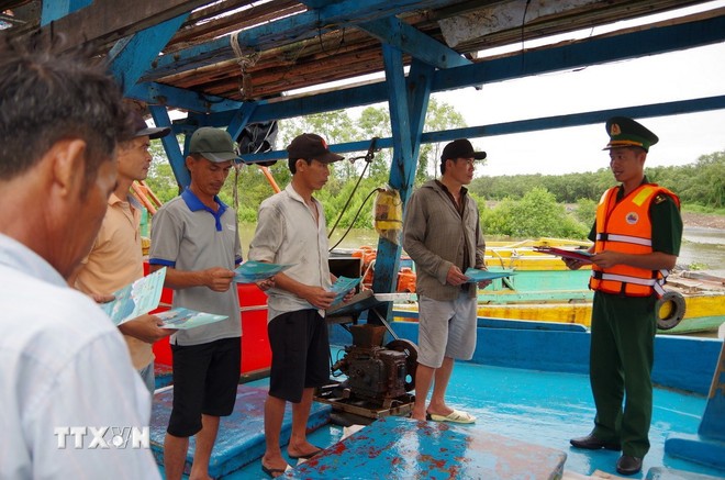 Dong Thap controls vessels entering or leaving ports to address IUU fishing  - ảnh 1