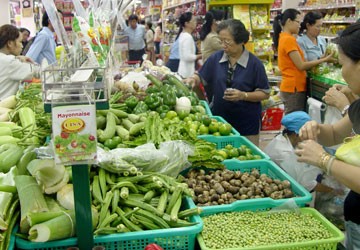 越南努力保障社会民生 - ảnh 3