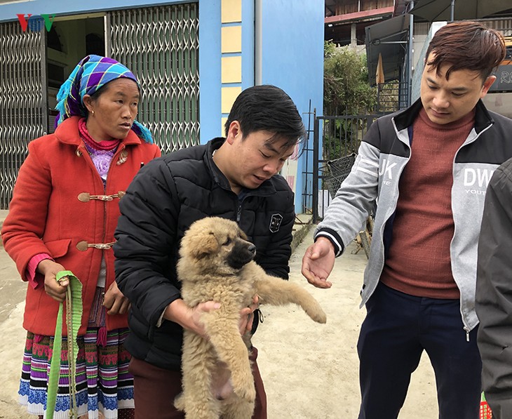 到北河集市寻购赫蒙族本地狗 - ảnh 1