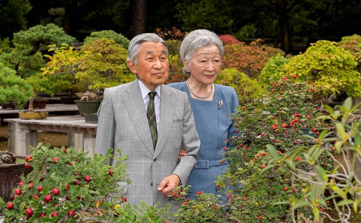 Власти Японии назначили дату отречения императора Акихито  - ảnh 1