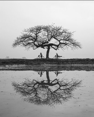 Чан Туан Вьет - фотограф, распространяющий имидж Вьетнама по всему миру   - ảnh 2