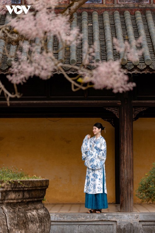 Любование цветением «Королевского цветка» в древней цитадели Хюэ - ảnh 11