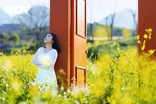 Зима на высокогорье Моктяу в цветах - ảnh 10