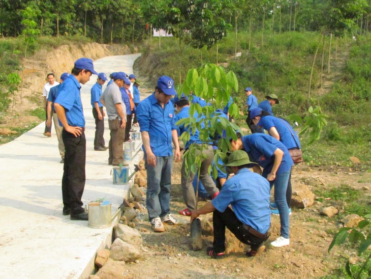 Changes after 3 years of building new rural areas in Ho Chi Minh city - ảnh 1