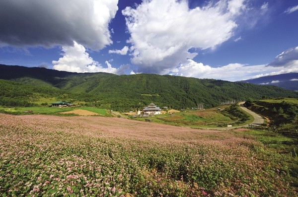 The beauty of Bhutan in the eyes of a Vietnamese photographer - ảnh 1