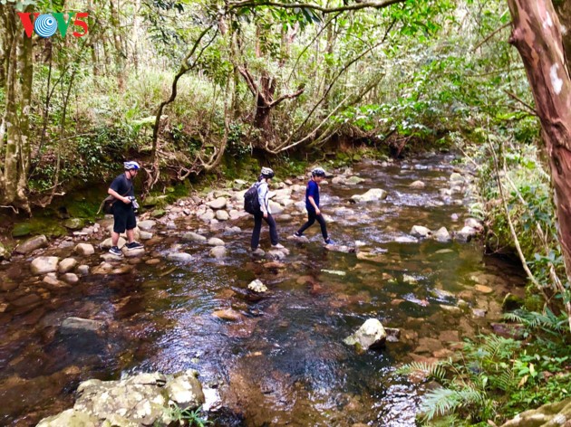 The adventurous path through Ngu Ho to Do Quyen waterfall - ảnh 5