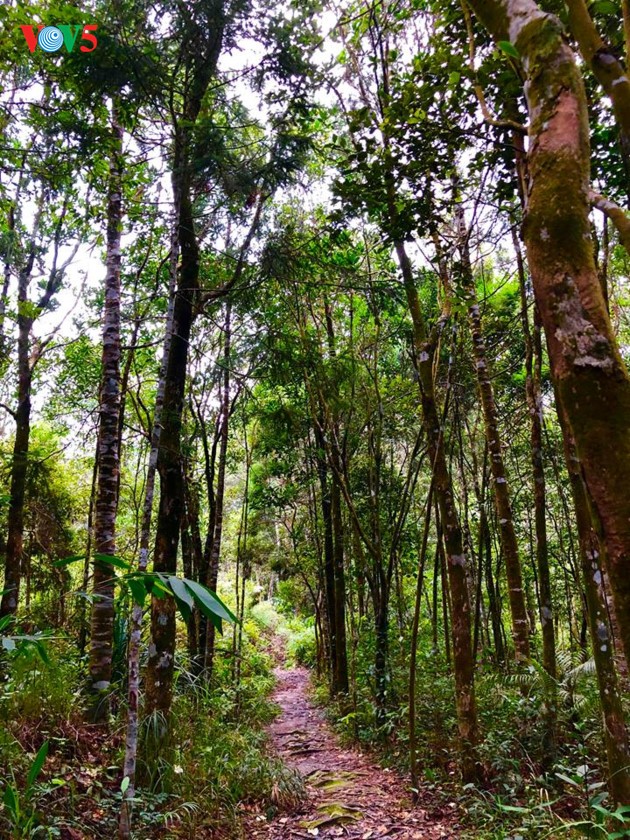 The adventurous path through Ngu Ho to Do Quyen waterfall - ảnh 9