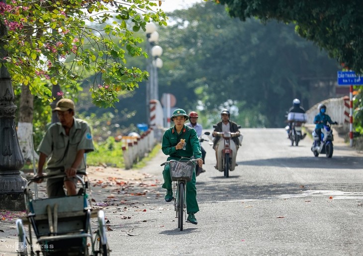 The bucolic charm of a Hue summer - ảnh 6