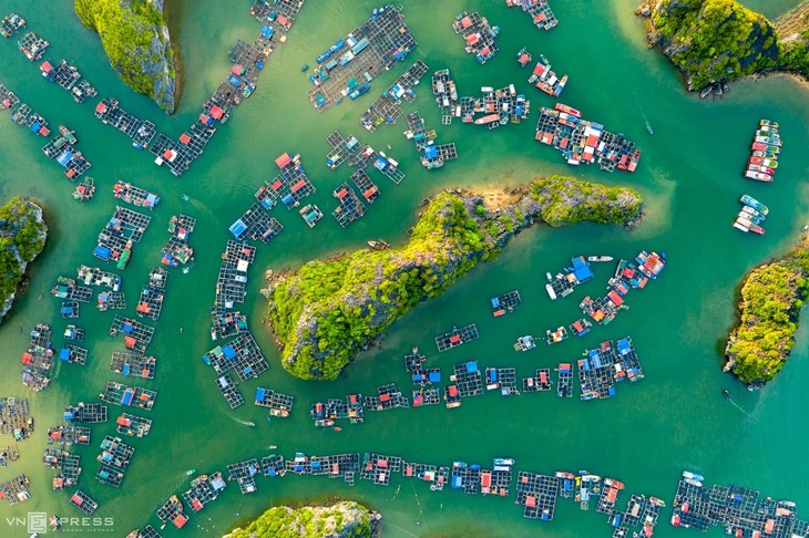 Bird-eye views accentuate paradisiacal beauty of Lan Ha Bay - ảnh 3