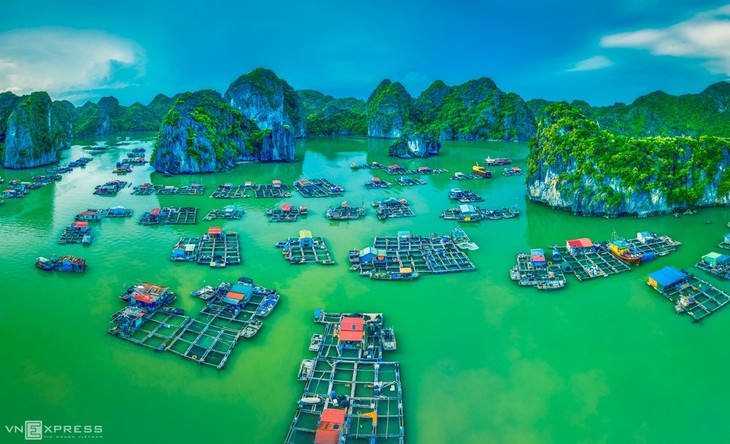 Bird-eye views accentuate paradisiacal beauty of Lan Ha Bay - ảnh 5