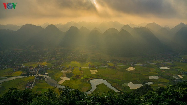 Bac Son rice fields turn yellow amid harvest season - ảnh 13