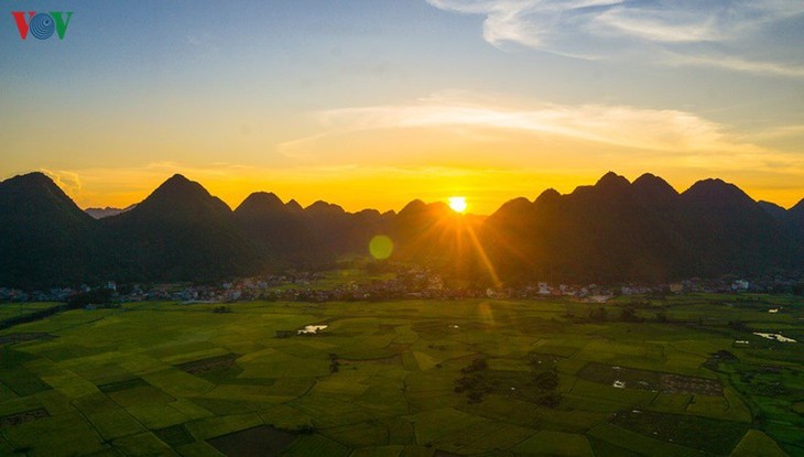 Bac Son rice fields turn yellow amid harvest season - ảnh 7