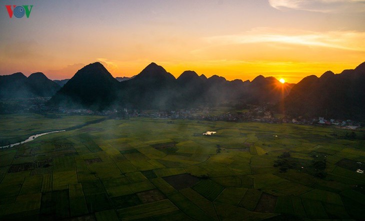 Bac Son rice fields turn yellow amid harvest season - ảnh 8