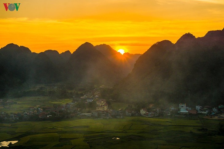 Bac Son rice fields turn yellow amid harvest season - ảnh 9