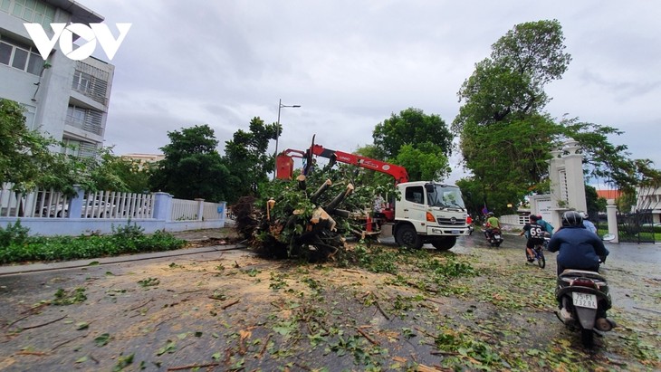 Storm Noul wreaks havoc in central region after making landfall - ảnh 11