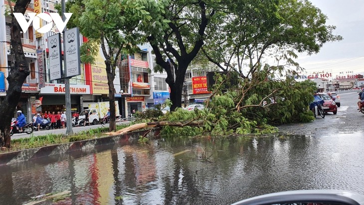 Storm Noul wreaks havoc in central region after making landfall - ảnh 12