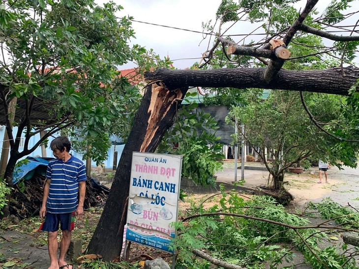 Storm Noul wreaks havoc in central region after making landfall - ảnh 3