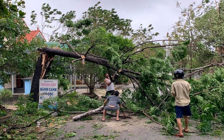 Storm Noul wreaks havoc in central region after making landfall - ảnh 4