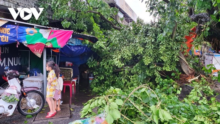 Storm Noul wreaks havoc in central region after making landfall - ảnh 7