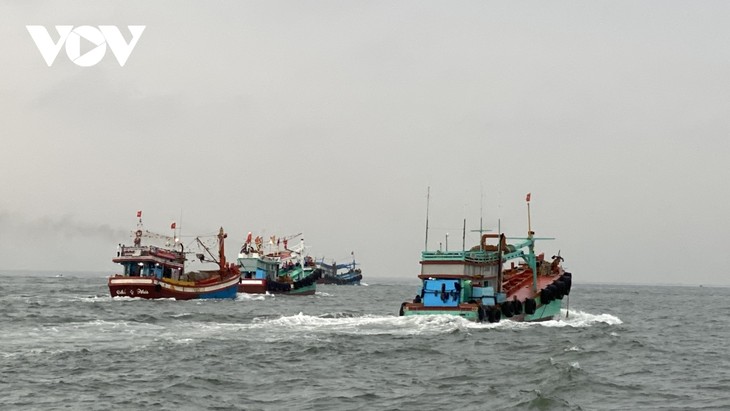 Whale worshipping festival excites crowds in Vung Tau city - ảnh 1