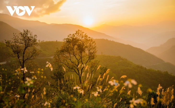 Sunset in northern mountainous areas - ảnh 4