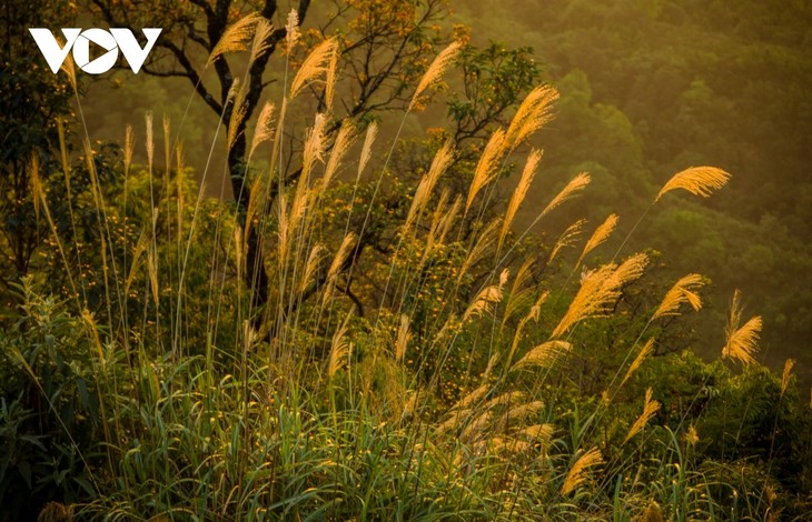 Sunset in northern mountainous areas - ảnh 5