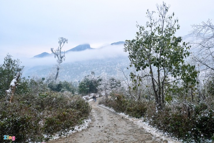 Tourists rush to northern commune to snap photos with snow - ảnh 9