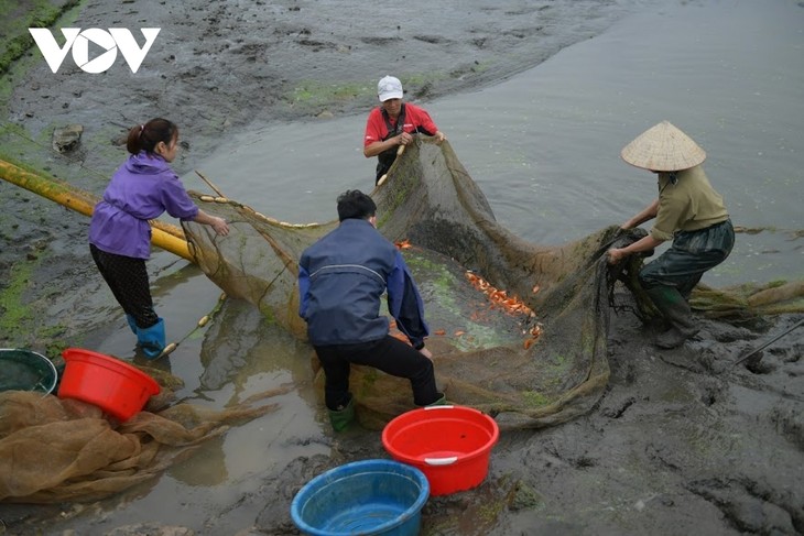 Thuy Tram carp village busy on Kitchen Gods Day - ảnh 10