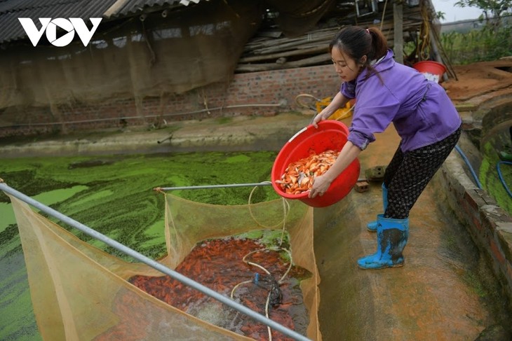 Thuy Tram carp village busy on Kitchen Gods Day - ảnh 11