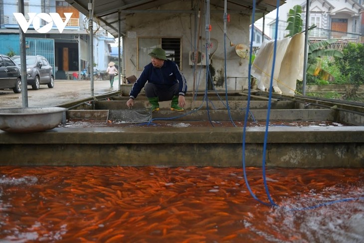 Thuy Tram carp village busy on Kitchen Gods Day - ảnh 13