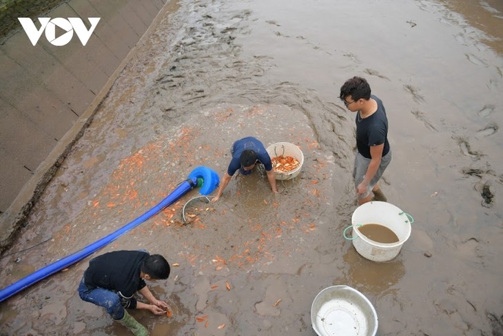 Thuy Tram carp village busy on Kitchen Gods Day - ảnh 14