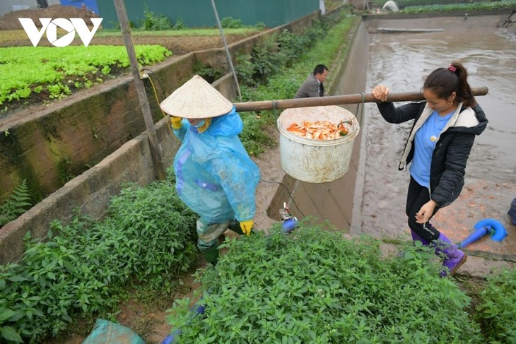 Thuy Tram carp village busy on Kitchen Gods Day - ảnh 16