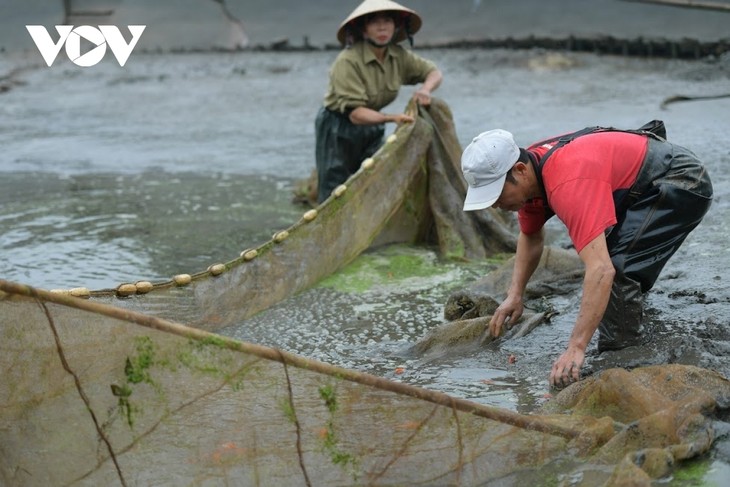 Thuy Tram carp village busy on Kitchen Gods Day - ảnh 1