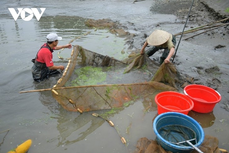 Thuy Tram carp village busy on Kitchen Gods Day - ảnh 3