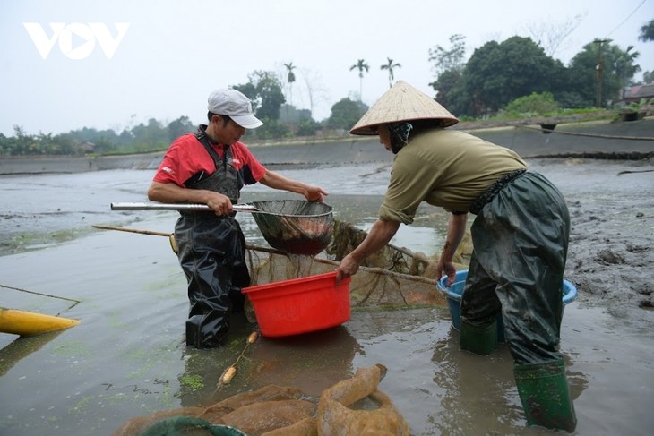 Thuy Tram carp village busy on Kitchen Gods Day - ảnh 4