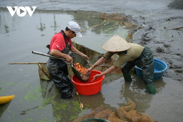 Thuy Tram carp village busy on Kitchen Gods Day - ảnh 6