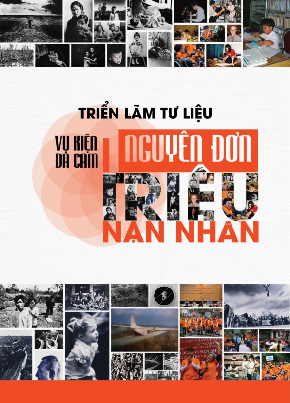 Thêm một lần nhìn lại hành trình đòi công lý cho nạn nhân chất độc da cam - ảnh 2