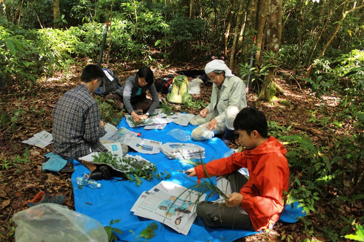 Đa dạng sinh học - giải pháp quan trọng cho phát triển bền vững - ảnh 2