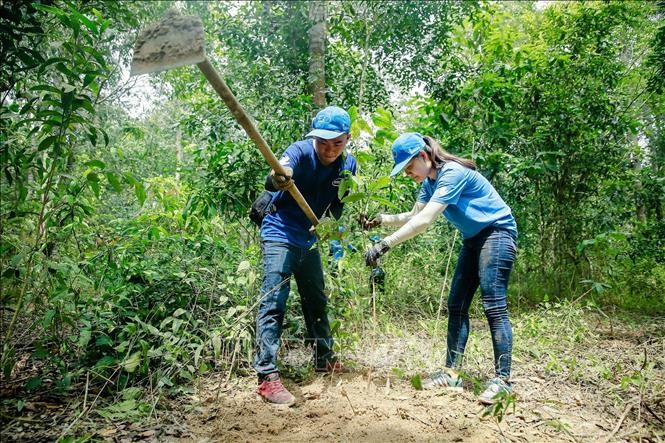 Đoàn viên, thanh niên lan toả thông điệp bảo vệ môi trường - ảnh 8