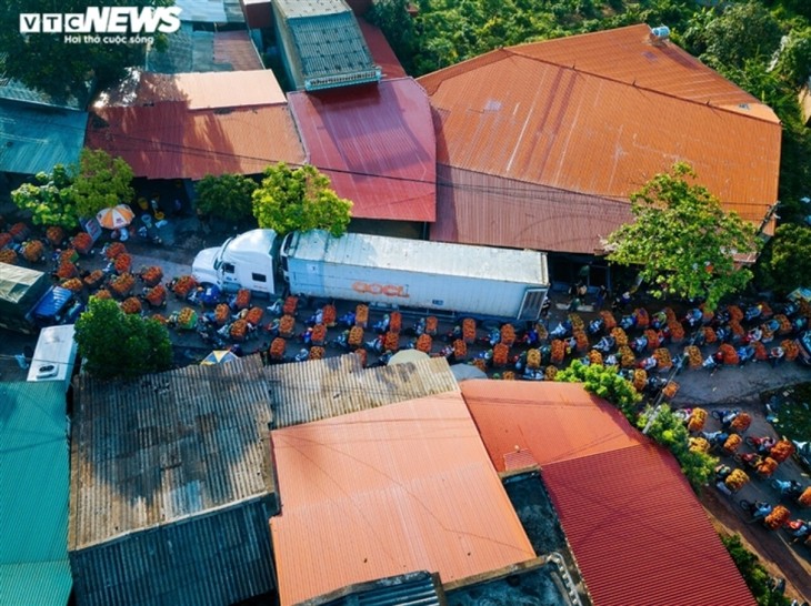 Exploring the lychee capital of Vietnam in harvest season - ảnh 4