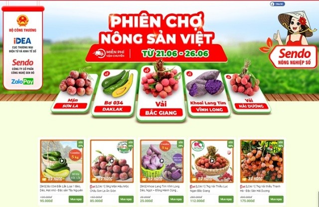 Kết nối – tiêu thụ nông sản Việt trong đại dịch COVID-19 - ảnh 7