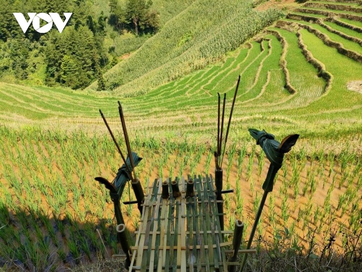 Unique terraced field worshiping ceremony of Mong ethnic people - ảnh 1