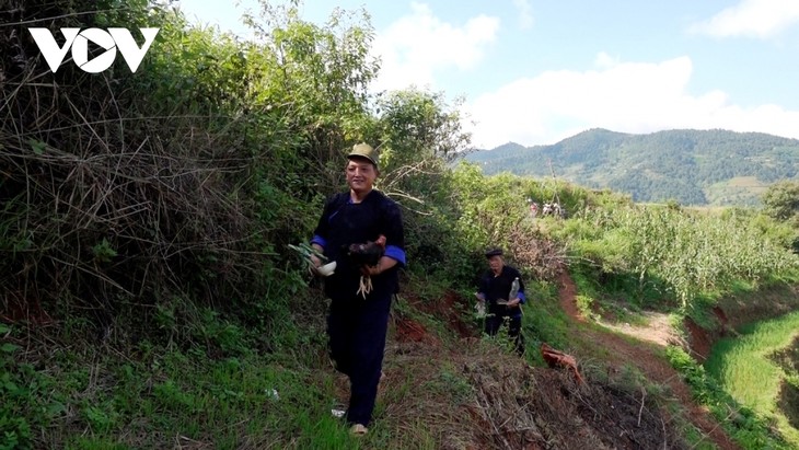 Unique terraced field worshiping ceremony of Mong ethnic people - ảnh 6