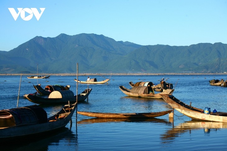 Discovering natural beauty and life in Cau Hai Lagoon - ảnh 10